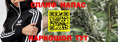 a pvp Гусь-Хрустальный