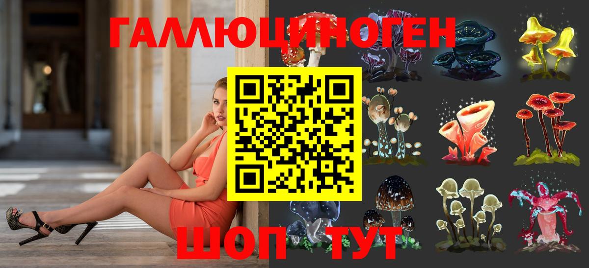 Псилоцибиновые грибы Psilocybine cubensis  Псилоцибиновые грибы Cubensis  Вход с VPN  Выборг 