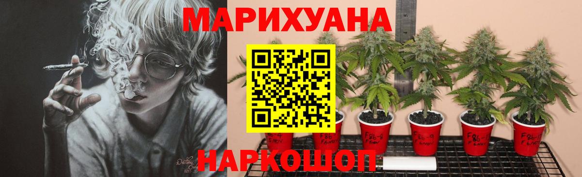 Канабис SATIVA & INDICA Выборг